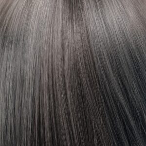 Inebrya Bionic Color - 5/1 Light Chestnut Ash